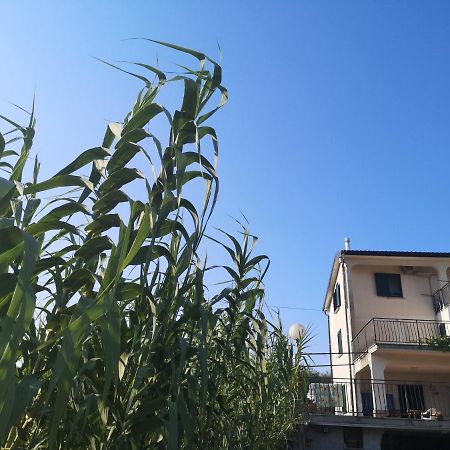 Saleto Apartma Jagodje Buitenkant foto