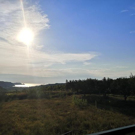 Saleto Apartma Jagodje Buitenkant foto