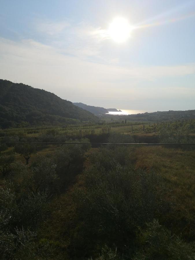 Saleto Apartma Jagodje Buitenkant foto