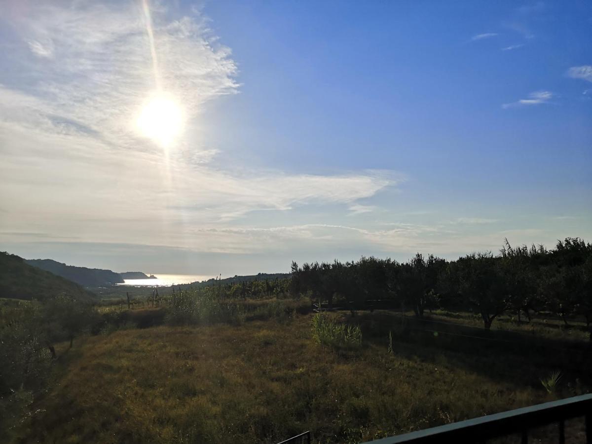 Saleto Apartma Jagodje Buitenkant foto