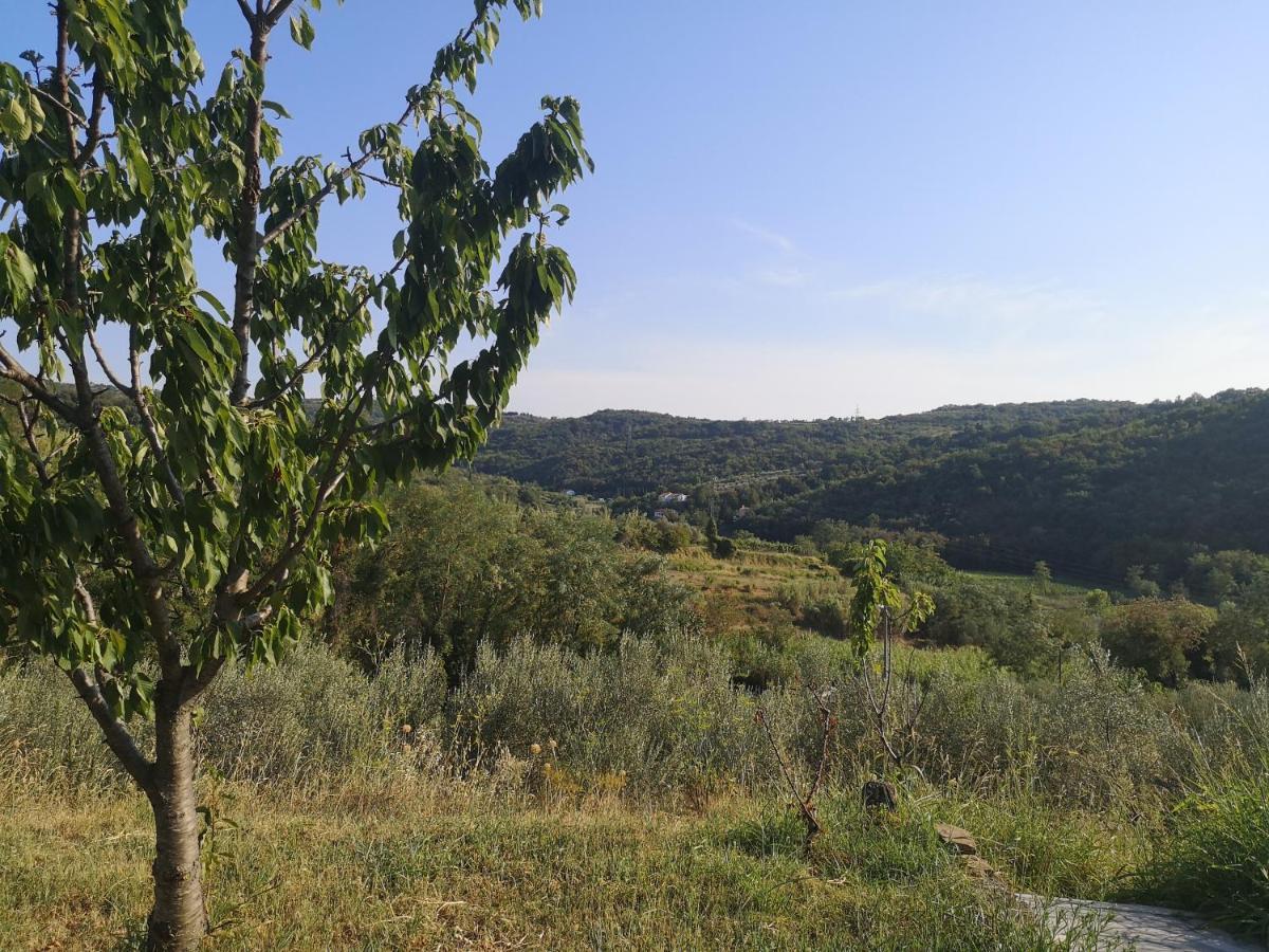 Saleto Apartma Jagodje Buitenkant foto